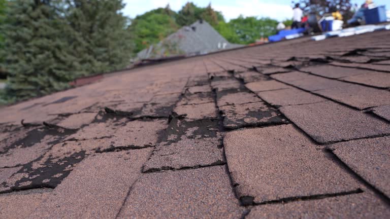 Best Roof Insulation Installation  in Arlington, NE